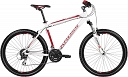 MTB